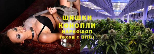 spice Анива