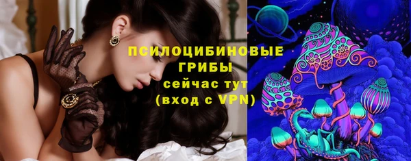 spice Михайловск