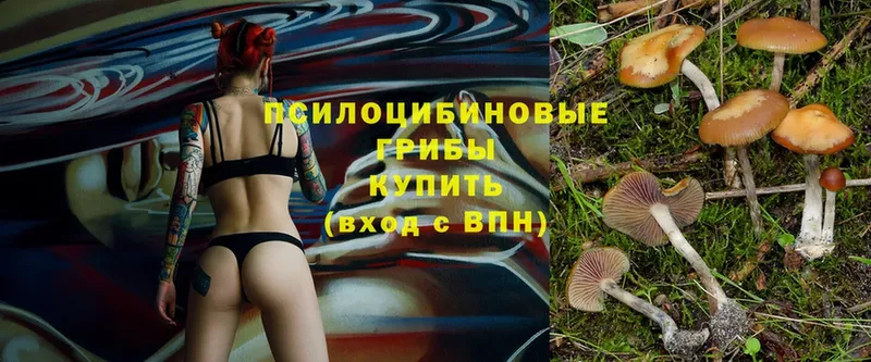 Псилоцибиновые грибы Magic Shrooms  Красный Холм 